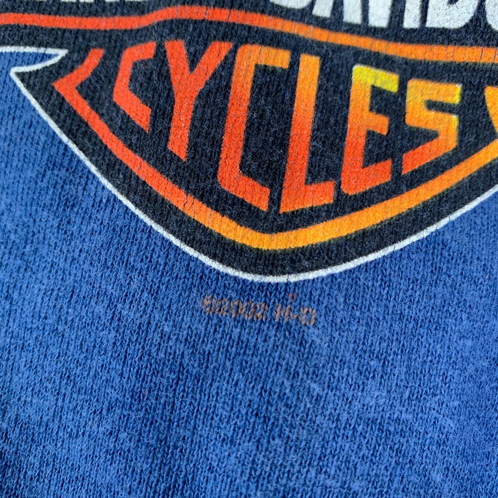 Harley Davidson Flaming Gorge Men’s Sweatshirt - Picture 5 of 13